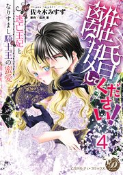 離婚してください！～逃亡王妃となりすまし騎士王の蜜愛～【分冊版】4