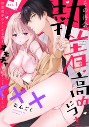 【ラフィーヤ】その再会、執着高めにつき 初恋相手のクール上司とオモチャを試すことになりました