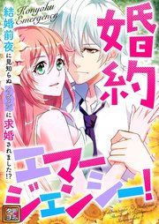 婚約エマージェンシー！～結婚前夜に見知らぬイケメンに求婚されました！？