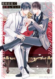 離婚前提で結婚しました 表紙