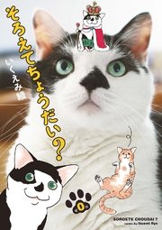 そろえてちょうだい？（0）