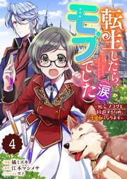 Berry’sFantasy転生したら、モブでした（涙）～死亡フラグを回避するため、薬師になります～4巻