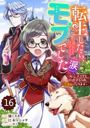 Berry’sFantasy転生したら、モブでした（涙）～死亡フラグを回避するため、薬師になります～16巻