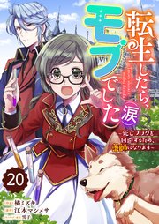 Berry’sFantasy転生したら、モブでした（涙）～死亡フラグを回避するため、薬師になります～20巻