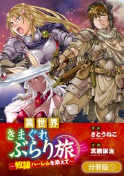 異世界きまぐれぶらり旅 ～奴隷ハーレムを添えて～