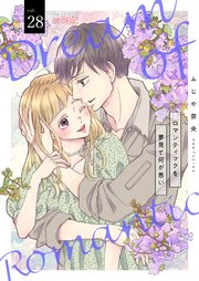 ロマンティックを夢見て何が悪い 28巻