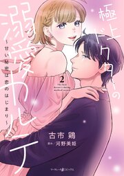 極上ドクターの溺愛カルテ～甘い秘密は恋のはじまり～