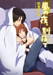 嵐の夜、別荘で