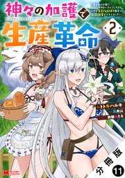 神々の加護で生産革命～異世界の片隅でまったりスローライフしてたら、なぜか多彩な人材が集まって最強国家ができてました～（コミック） 分冊版 11巻