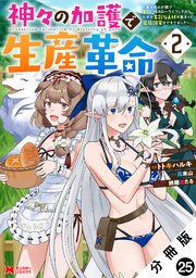 神々の加護で生産革命～異世界の片隅でまったりスローライフしてたら、なぜか多彩な人材が集まって最強国家ができてました～（コミック） 分冊版 ： 25