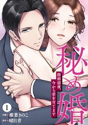 秘め婚　離婚前夜、今から愛を育てます