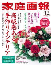 家庭画報 2023年12月号