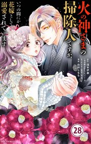 火の神さまの掃除人ですが、いつの間にか花嫁として溺愛されています【単話】 28