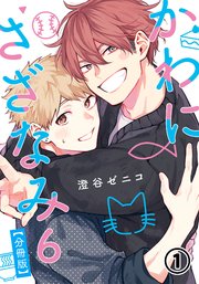 かわにさざなみ 6