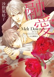 融愛 ～Melt Down～ 【イラスト付】