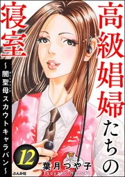 高級娼婦たちの寝室 ～闇聖母スカウトキャラバン～ （12）
