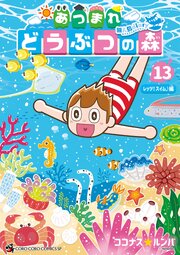 あつまれ　どうぶつの森　～無人島Ｄｉａｒｙ～ 13