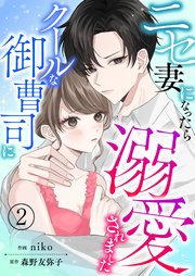 ニセ妻になったらクールな御曹司に溺愛されました【合本版】2