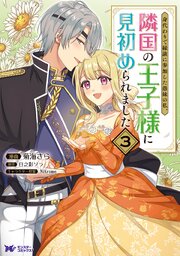 身代わりで縁談に参加した愚妹の私、隣国の王子様に見初められました（コミック） ： 3