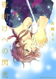 夜明けへの閃光