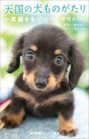 小学館ジュニア文庫 天国の犬ものがたり～笑顔をあげに～