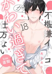 不機嫌イトコがかわい過ぎて仕方ない(18) side直樹