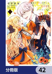 義妹が聖女だからと婚約破棄されましたが、私は妖精の愛し子です【分冊版】 42