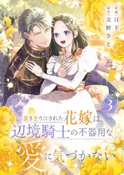 置き去りにされた花嫁は、辺境騎士の不器用な愛に気づかない【電子単行本版／特典おまけ付き】 3巻
