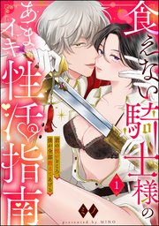 食えない騎士様のあまイキ性活指南 君の悦いところ、僕が全部教えてあげる（分冊版） 表紙