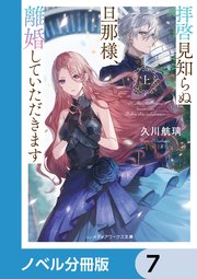 拝啓見知らぬ旦那様、離婚していただきます【ノベル分冊版】 7