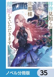 拝啓見知らぬ旦那様、離婚していただきます【ノベル分冊版】 35