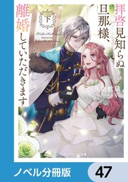 拝啓見知らぬ旦那様、離婚していただきます【ノベル分冊版】 47