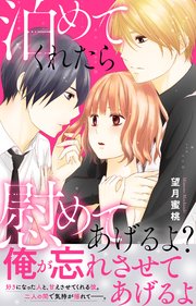 泊めてくれたら慰めてあげるよ？