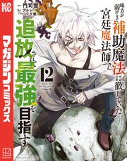 味方が弱すぎて補助魔法に徹していた宮廷魔法師、追放されて最強を目指す（12）