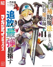 味方が弱すぎて補助魔法に徹していた宮廷魔法師、追放されて最強を目指す（14）