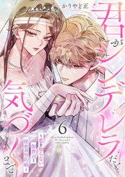 君がシンデレラだと気づくまで～恋を知らない御曹司と秘密の契約婚～ 6