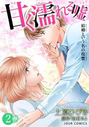 甘く濡れる嘘～結婚という名の復讐～ 2巻