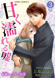 甘く濡れる嘘～結婚という名の復讐～ 3巻