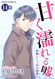 甘く濡れる嘘～結婚という名の復讐～ ： 14