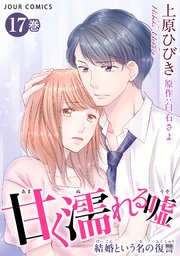 甘く濡れる嘘～結婚という名の復讐～ 17巻