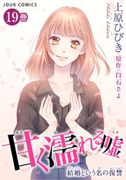 甘く濡れる嘘～結婚という名の復讐～ 19巻