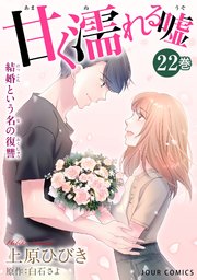 甘く濡れる嘘～結婚という名の復讐～ 22巻