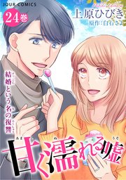 甘く濡れる嘘～結婚という名の復讐～ 24巻