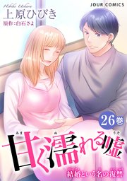 甘く濡れる嘘～結婚という名の復讐～ 26巻
