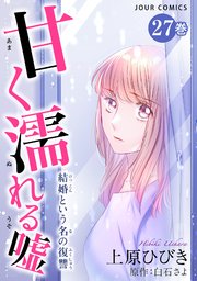 甘く濡れる嘘～結婚という名の復讐～ 27巻