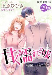 甘く濡れる嘘～結婚という名の復讐～ 29巻