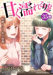 甘く濡れる嘘～結婚という名の復讐～ ： 35
