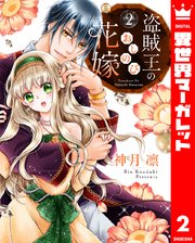 盗賊王のおしのび花嫁 2
