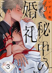 秘中の婚礼（３）