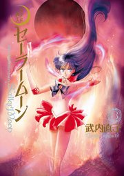 美少女戦士セーラームーン 完全版（3）